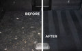 Pet Hair Removal